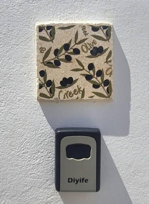 Villa The Olive Tree *