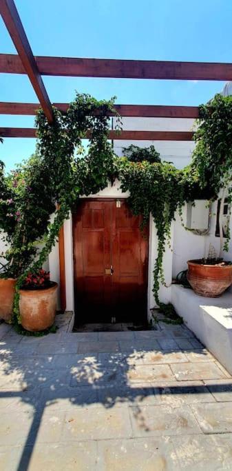 The Olive Tree * Lindos (Rhodes)